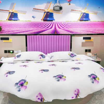 欧式圆床影视房