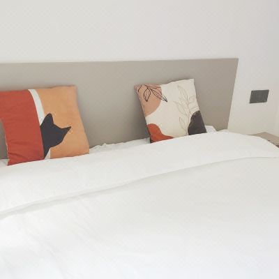 市景一室一厅套房