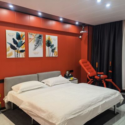 精致一室一厅套房