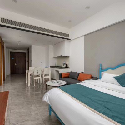 高级豪华两房一厅