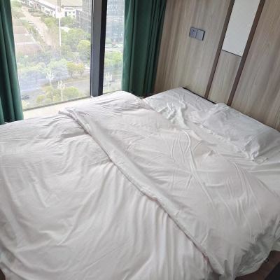 投影loft大床房E