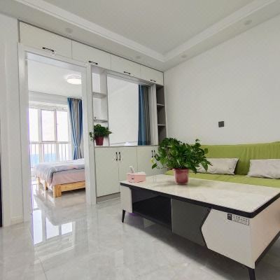 精致一室一厅套房