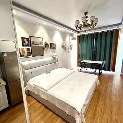 轻奢投影一居室