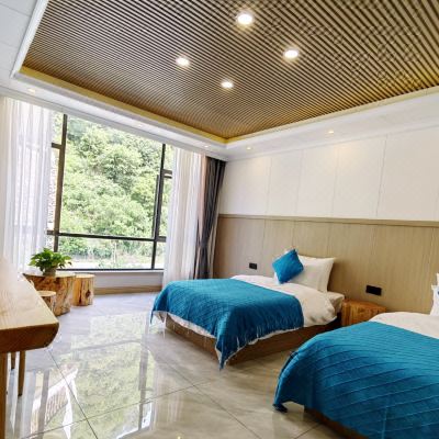 望山丨观景双床房