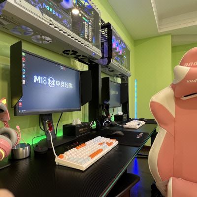 品质双人间[RTX3070+i712700+卓威240hz+罗技GPW无线鼠标]