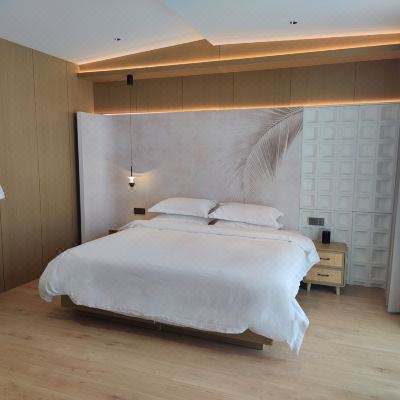 智慧语音大床房+浴缸+智能马桶