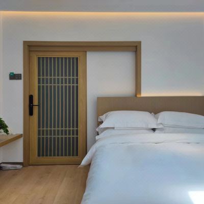 星辰.智慧语音榻榻米房+公卫