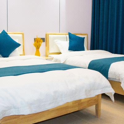 阳光雅致两居室