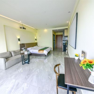 精致一室大床房