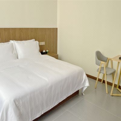 山景轻奢大床房