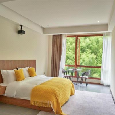 林溪投影大床房