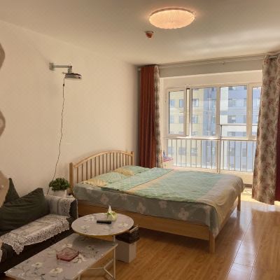 精致一室大床房