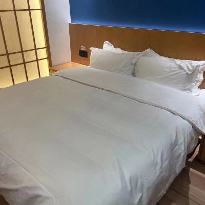 松果雅致焕能大床房