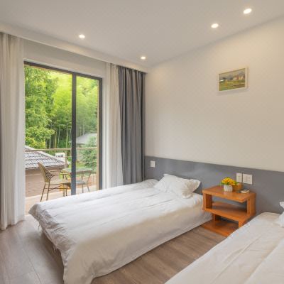 花肩阳台双床标间