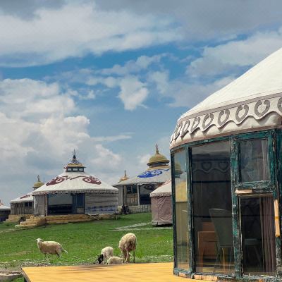 原生态豪华蒙古毡包榻榻米