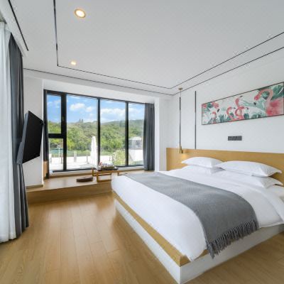 寻山·梅·大床房