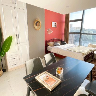 市景一室一厅套房