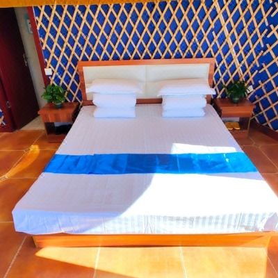 豪华蒙古包大床房