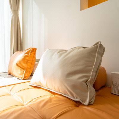 潮汐投影房-随机