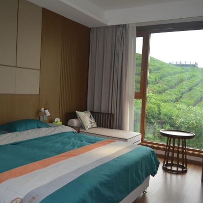 豪华套房（真）