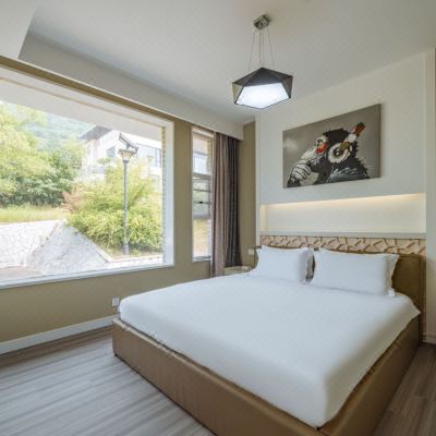 艺墅·现代山景别墅B11