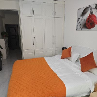 市景一室一厅套房B