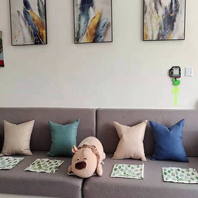 温馨一室一厅套房A