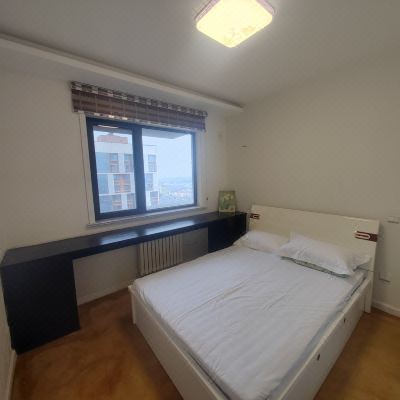 市景二室二厅套房A