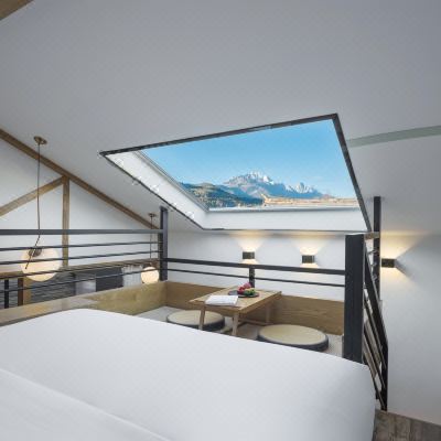 LOFT雪山星空套房