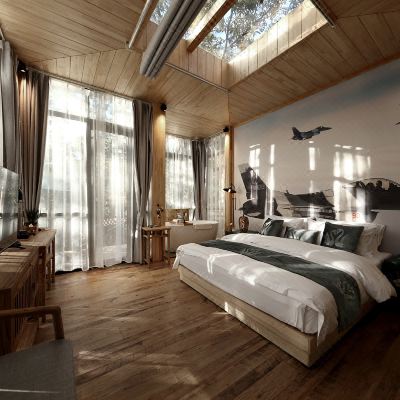 隐形树屋大床房