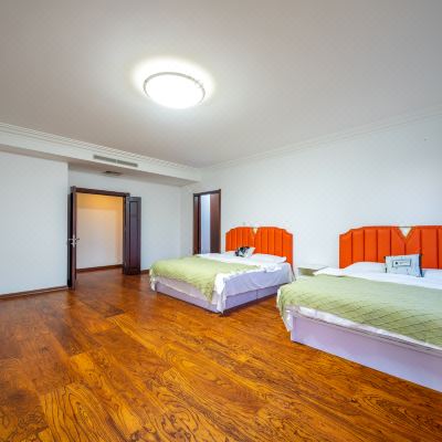 豪华2室2厅2卫浴缸8人套房