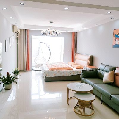 轻奢一居室