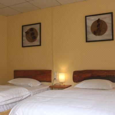 温馨一室单床房