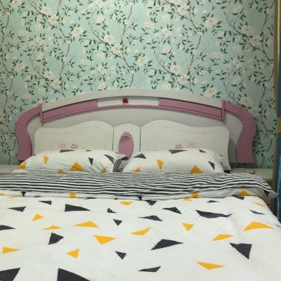 精致精品一室一厅套房