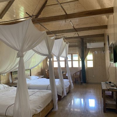 傣式风情双床房