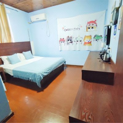 精致一室大床房