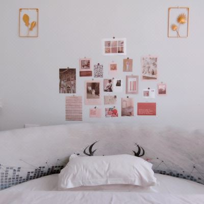 云七随云公主房