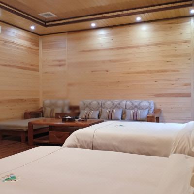 汇泉居豪华家庭房