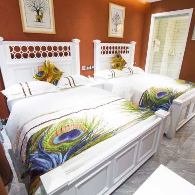 哈斯塔双床影院房