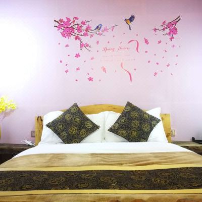 藏式舒适大床房