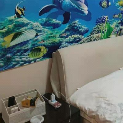品尚海景主题大床房
