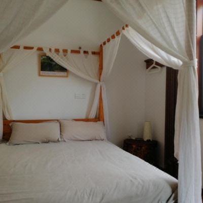 森林景观豪华大床房