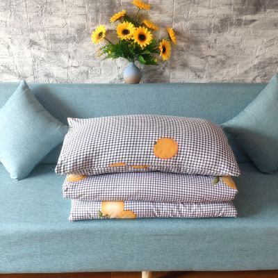 公共客厅沙发床(单人床位)