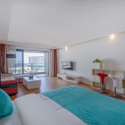 听海园景大床房