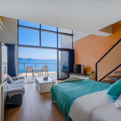 无敌海景复式一房一厅