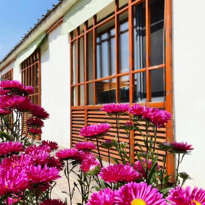 言欢山野民宿小院