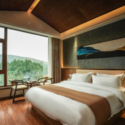 观跃智能山景大床房
