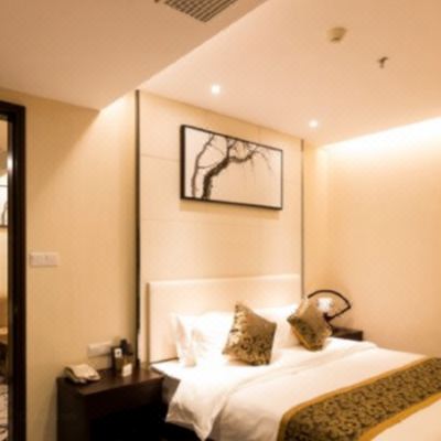 尊享一室一厅大床套房