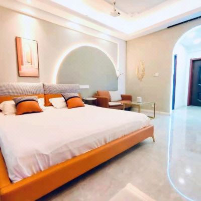 灰度空间高清智能投影轻奢房