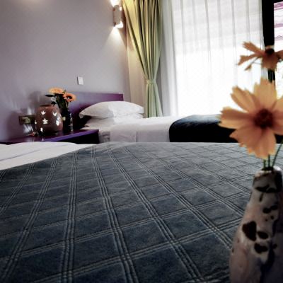 蚁工坊粉小蚁普通标间